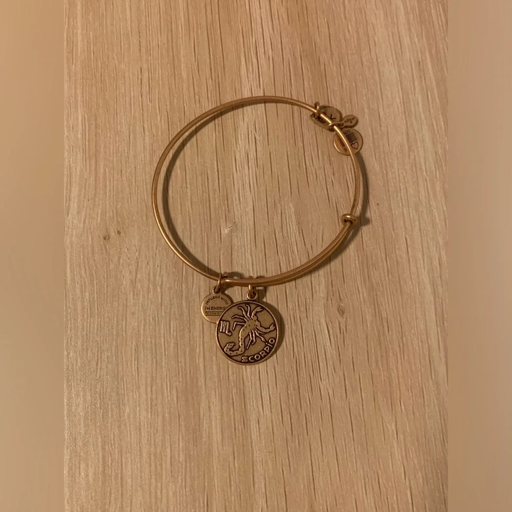Preloved Alex and Ani Scorpio Charm Bracelet